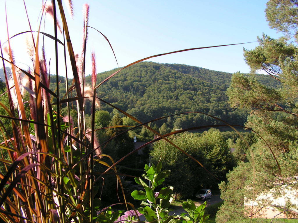 Buhl De Bonheur Villa Guebwiller Bagian luar foto