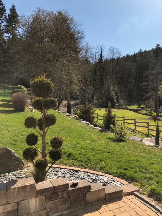Buhl De Bonheur Villa Guebwiller Bagian luar foto